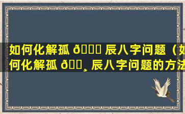 如何化解孤 🐛 辰八字问题（如何化解孤 🕸 辰八字问题的方法）